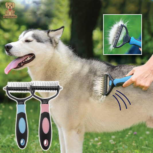 brosse-pour-chien