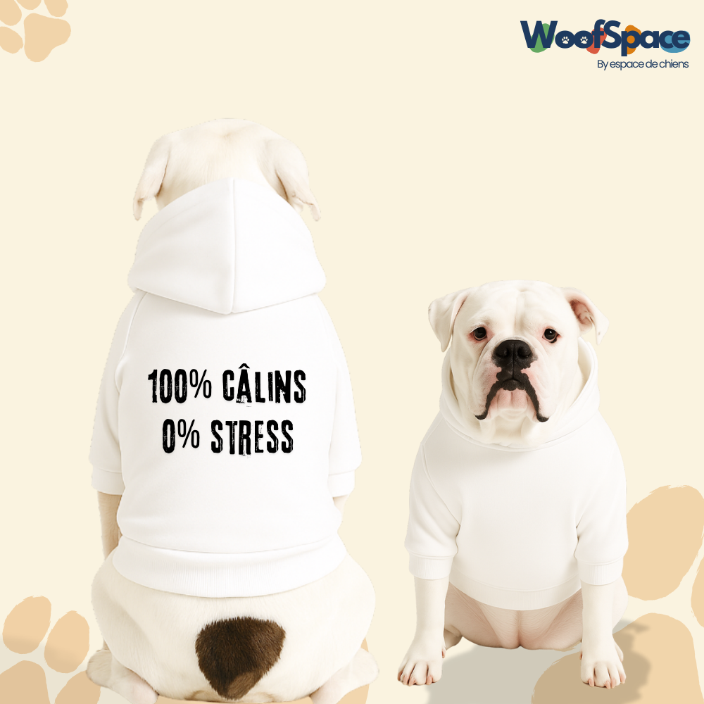 Sweat à capuche pour chien - 100% câlins, 0% stress