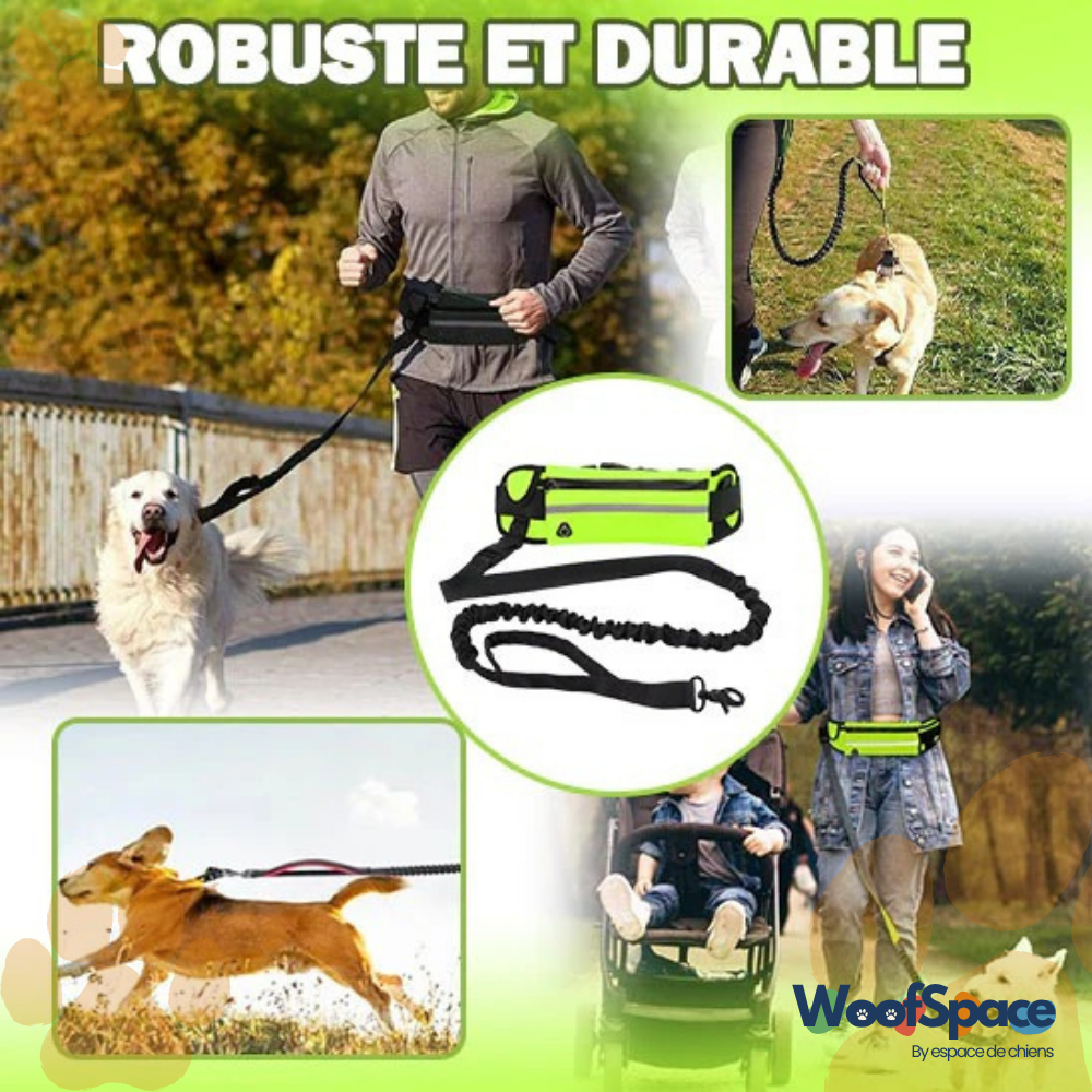 Laisse mains Libres - MultiBalade™