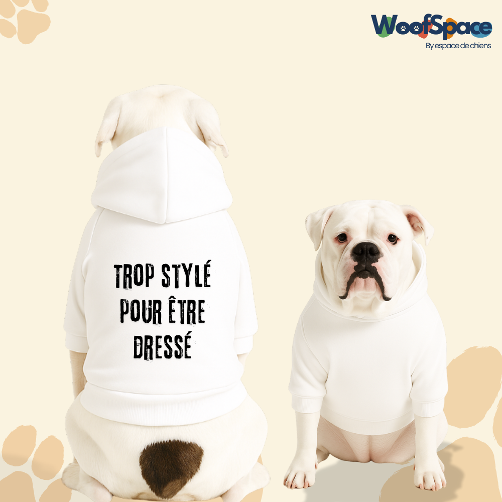 Sweat à capuche pour chien - Trop stylé pour être dressé