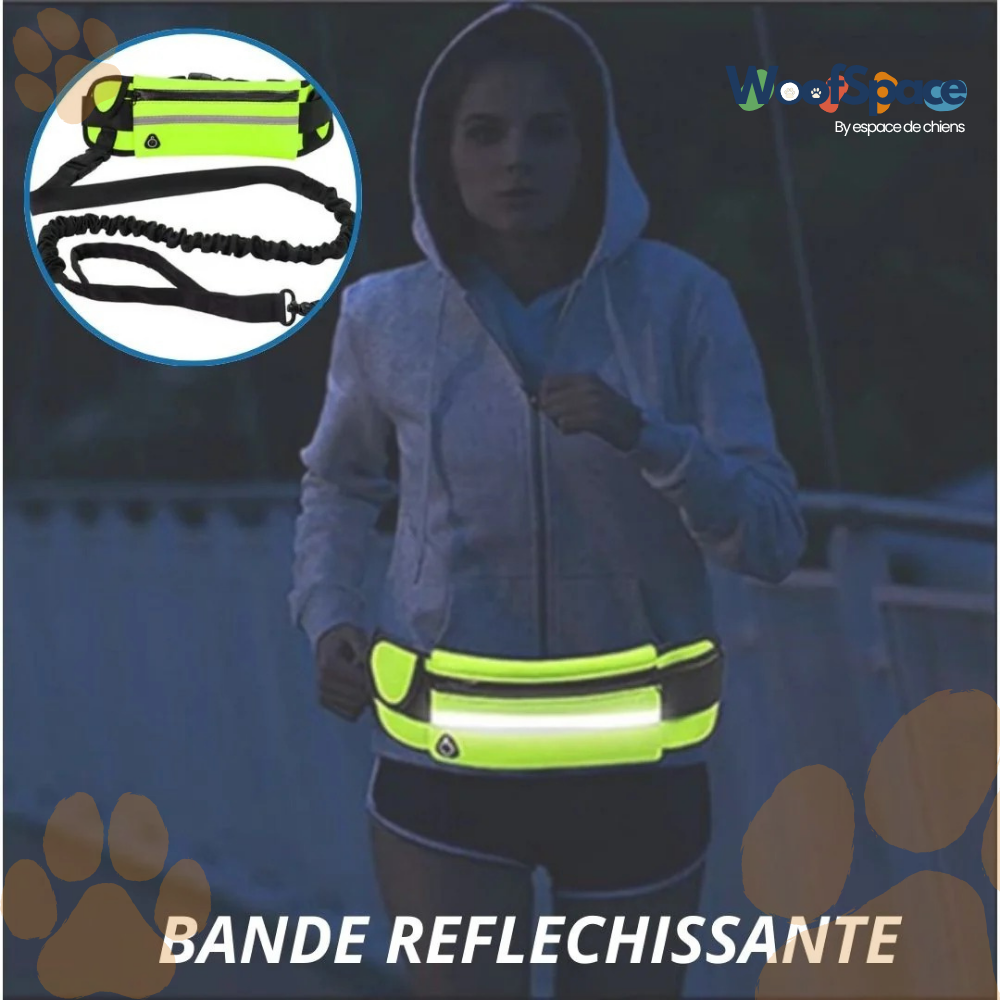 Laisse mains Libres - MultiBalade™