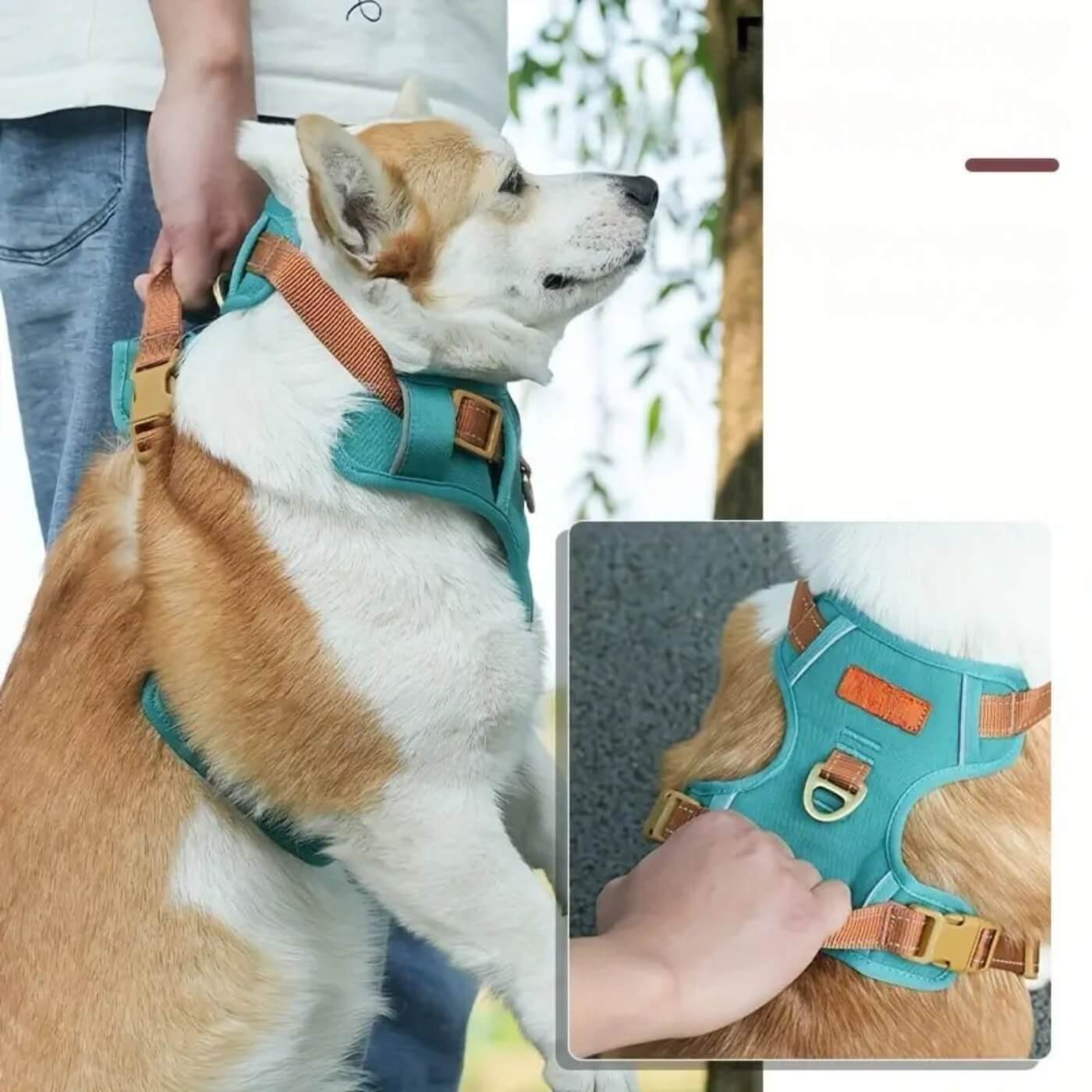 Harnais Réfléchissant Anti-Étouffement pour Chiens