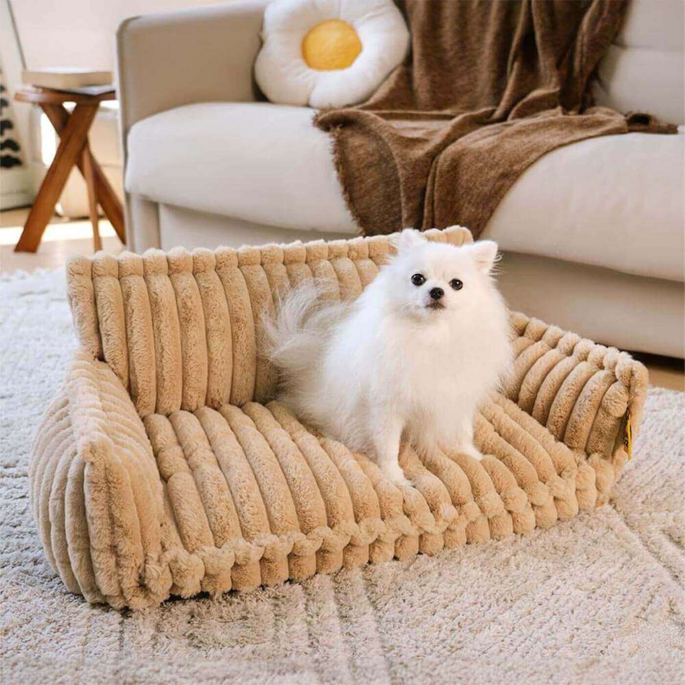 Lit Canapé Orthopédique pour Chiens