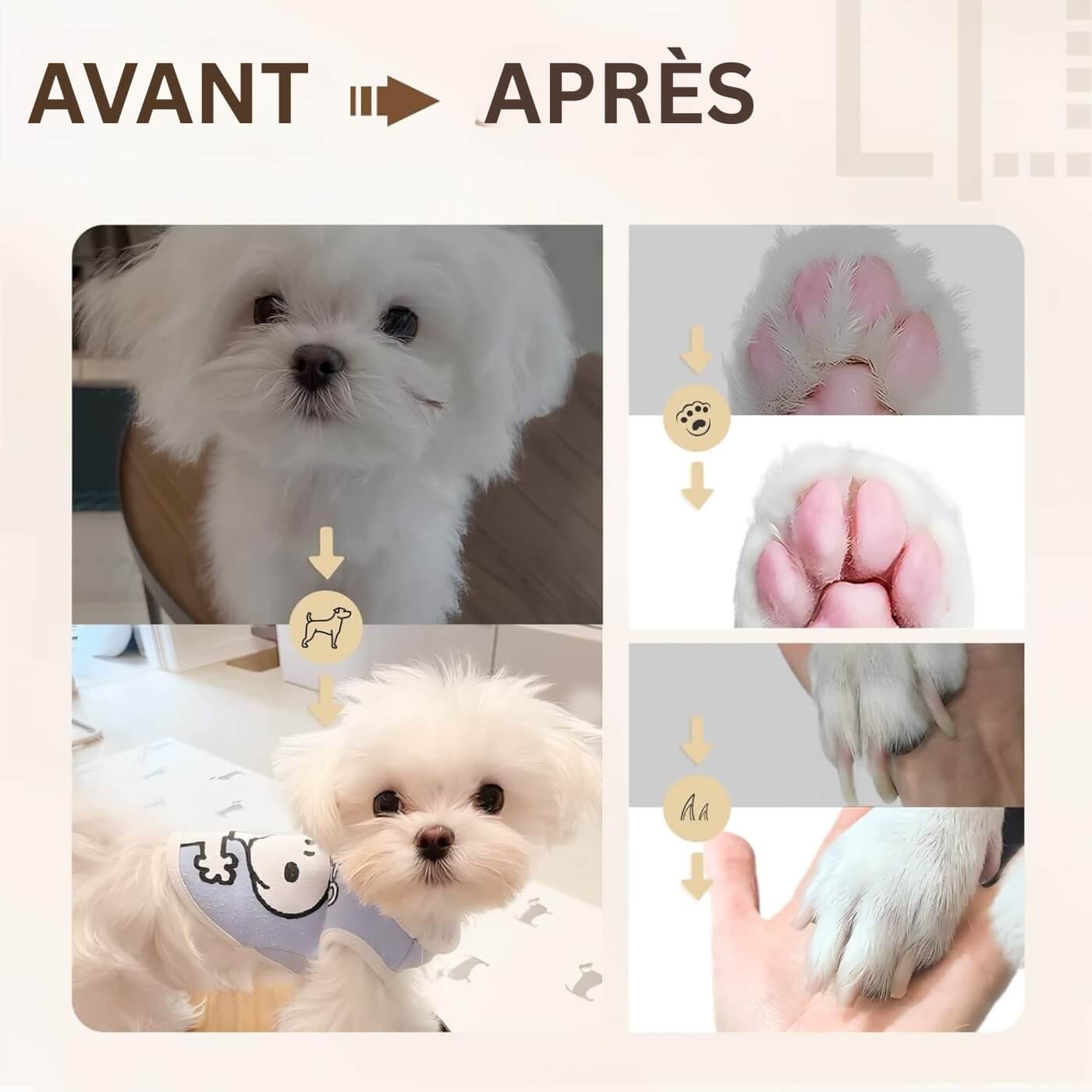 Tondeuse Électrique 4 en 1 pour Chiens