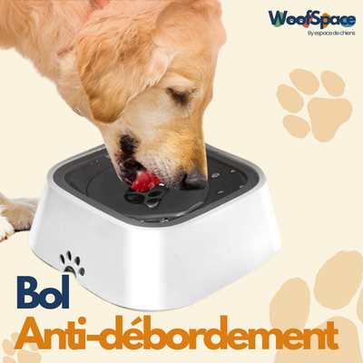 La Gamelle Maligne™️