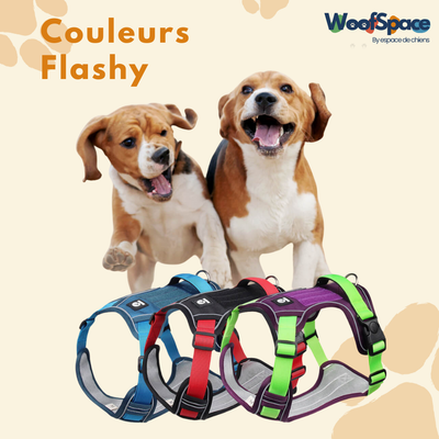 Harnais chien anti traction - JollyWalk™️