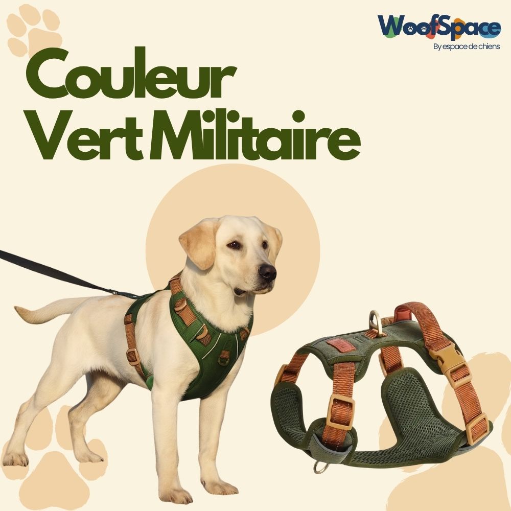 Harnais Anti-traction « Rolla » pour Chiens