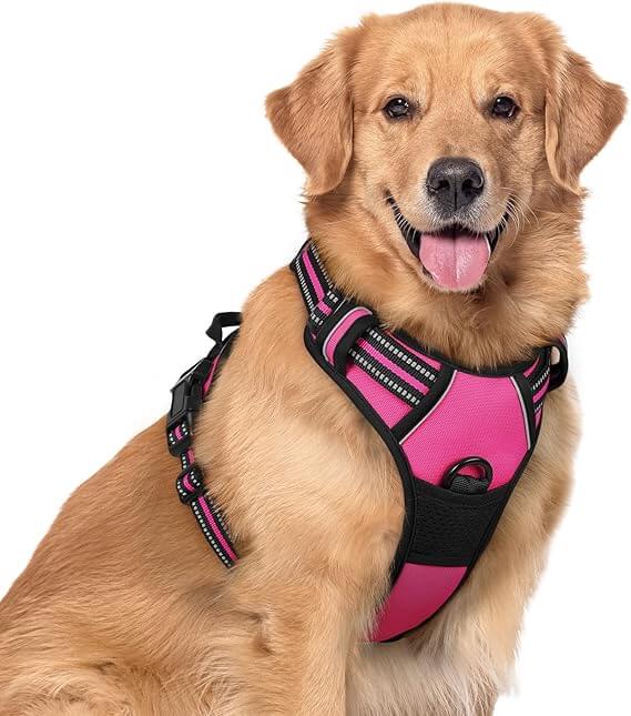 Harnais Anti Traction pour Chien - Heaven™️