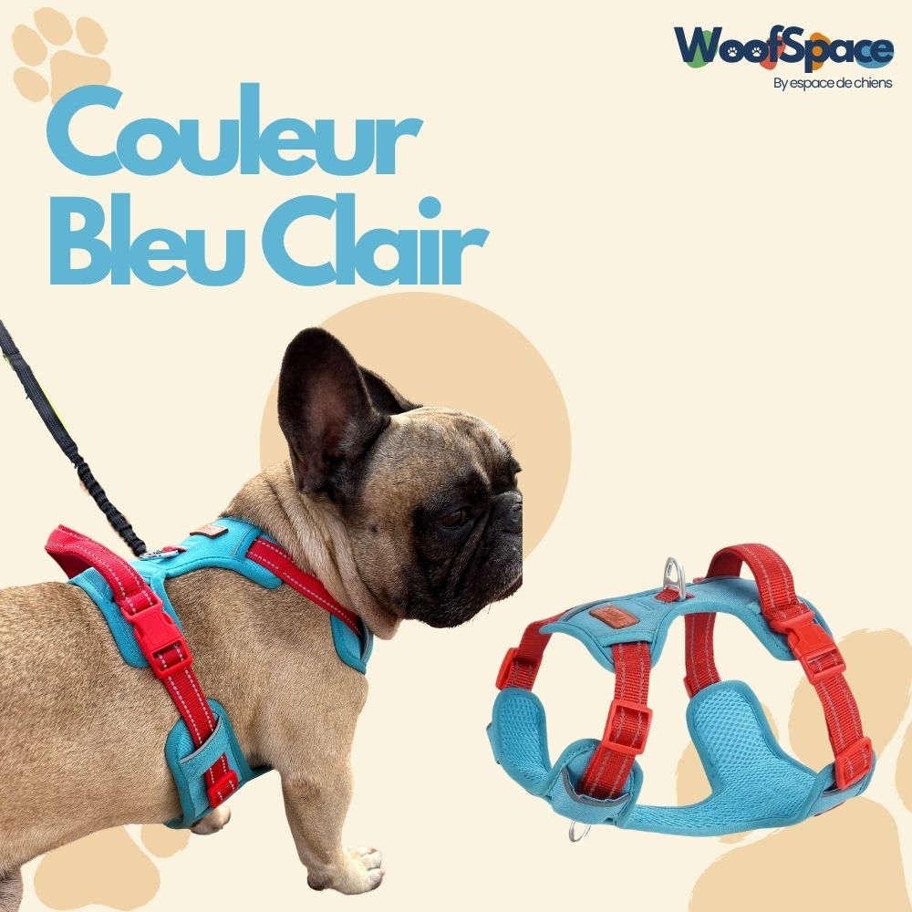Harnais Anti-traction « Rolla » pour Chiens