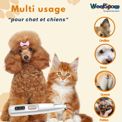 Tondeuse chien et chat - CleanPaws™