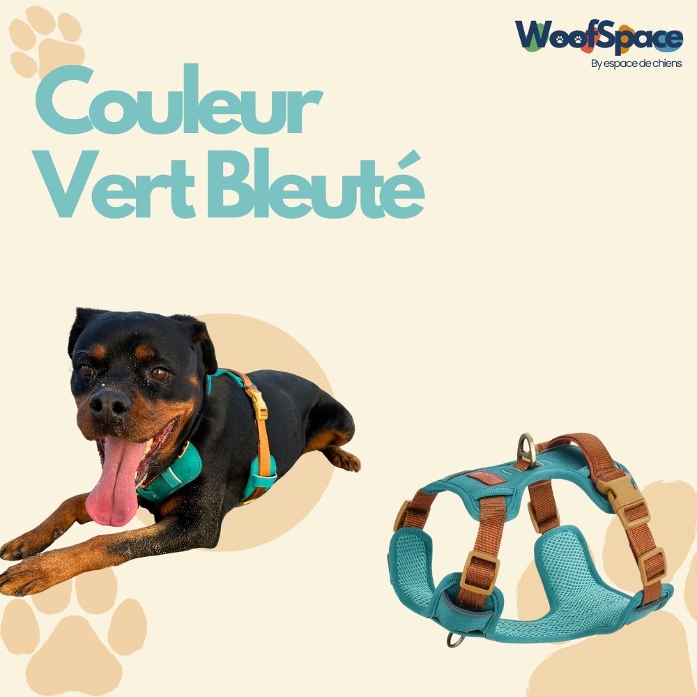 Harnais Anti-traction « Rolla » pour Chiens
