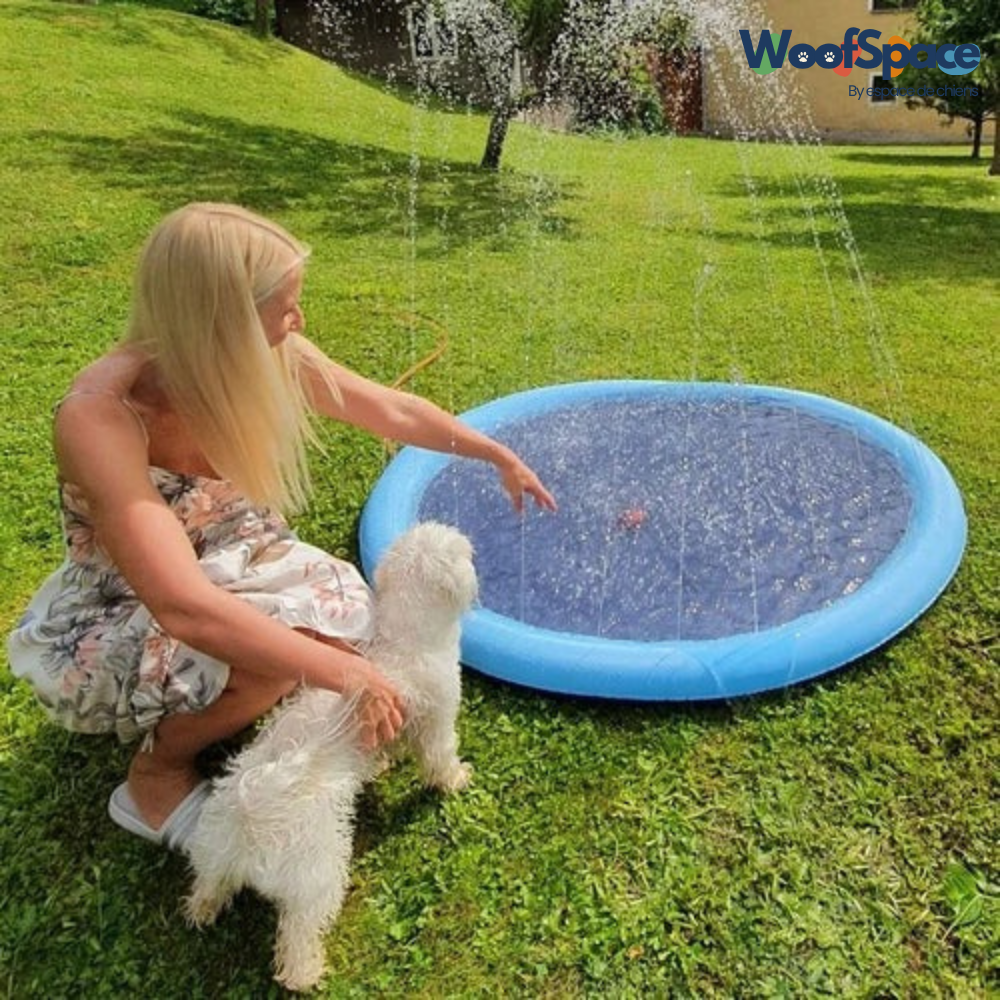 CoolPaws™ – La piscine fraîcheur pour ton chien