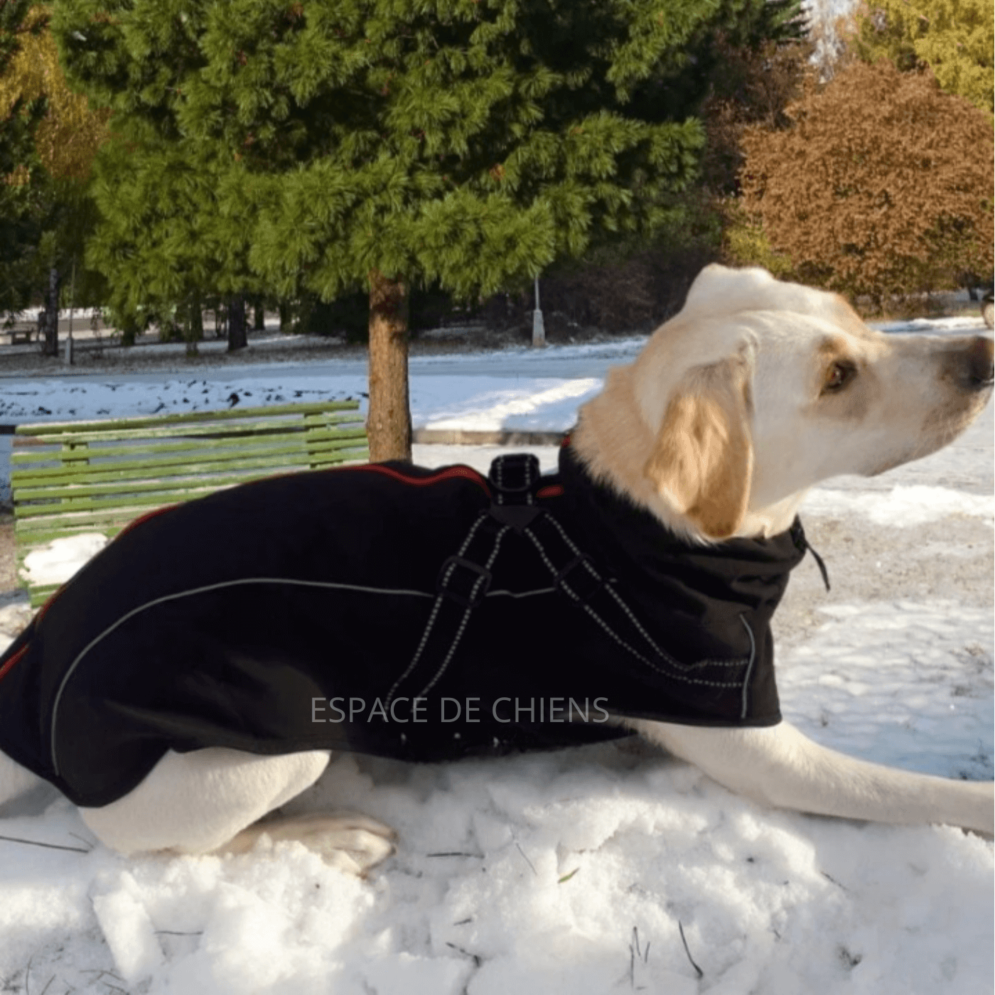 Manteau pour chien - Snow™️