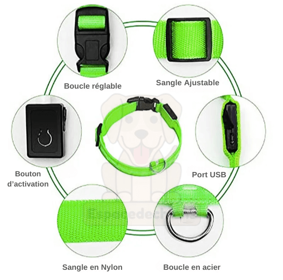 Collier Led lumineux pour chien- Collarness