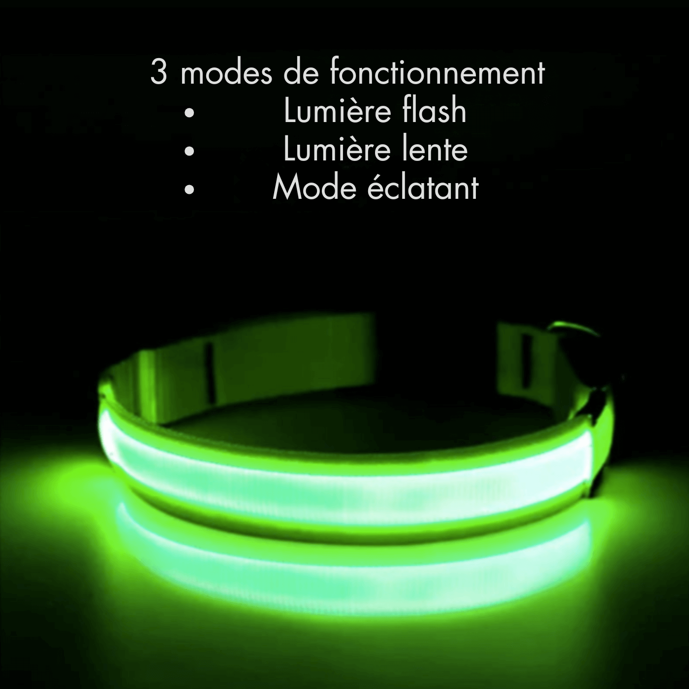 Collier Led lumineux pour chien- Collarness