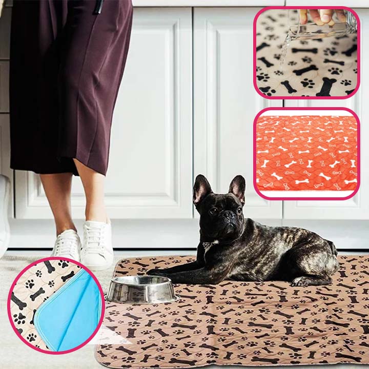 Tapis étanche pour chien - SpongeRug™️