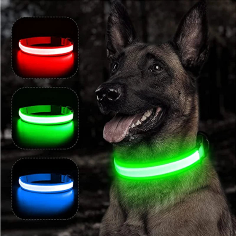 Collier Led lumineux pour chien- Collarness