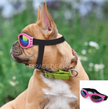 Lunettes de soleil pour chien - SunnyWalk™ - Espacedechiens.com