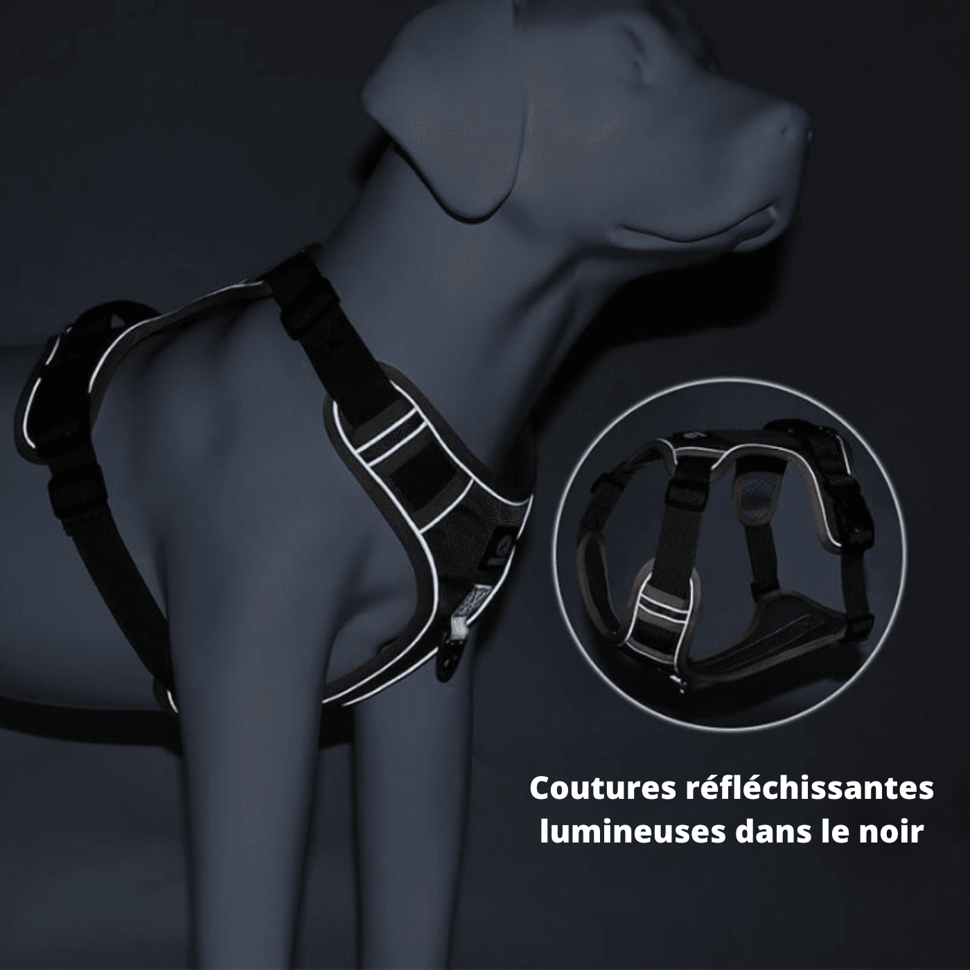 Harnais chien anti traction - JollyWalk™️