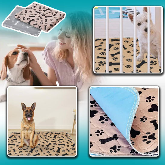 Tapis étanche pour chien - SpongeRug™️