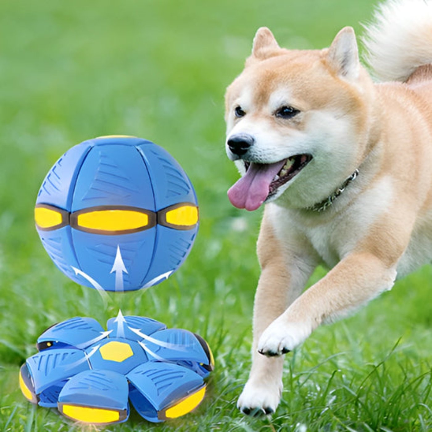 Jouet transformeur pour chien - Uranus™