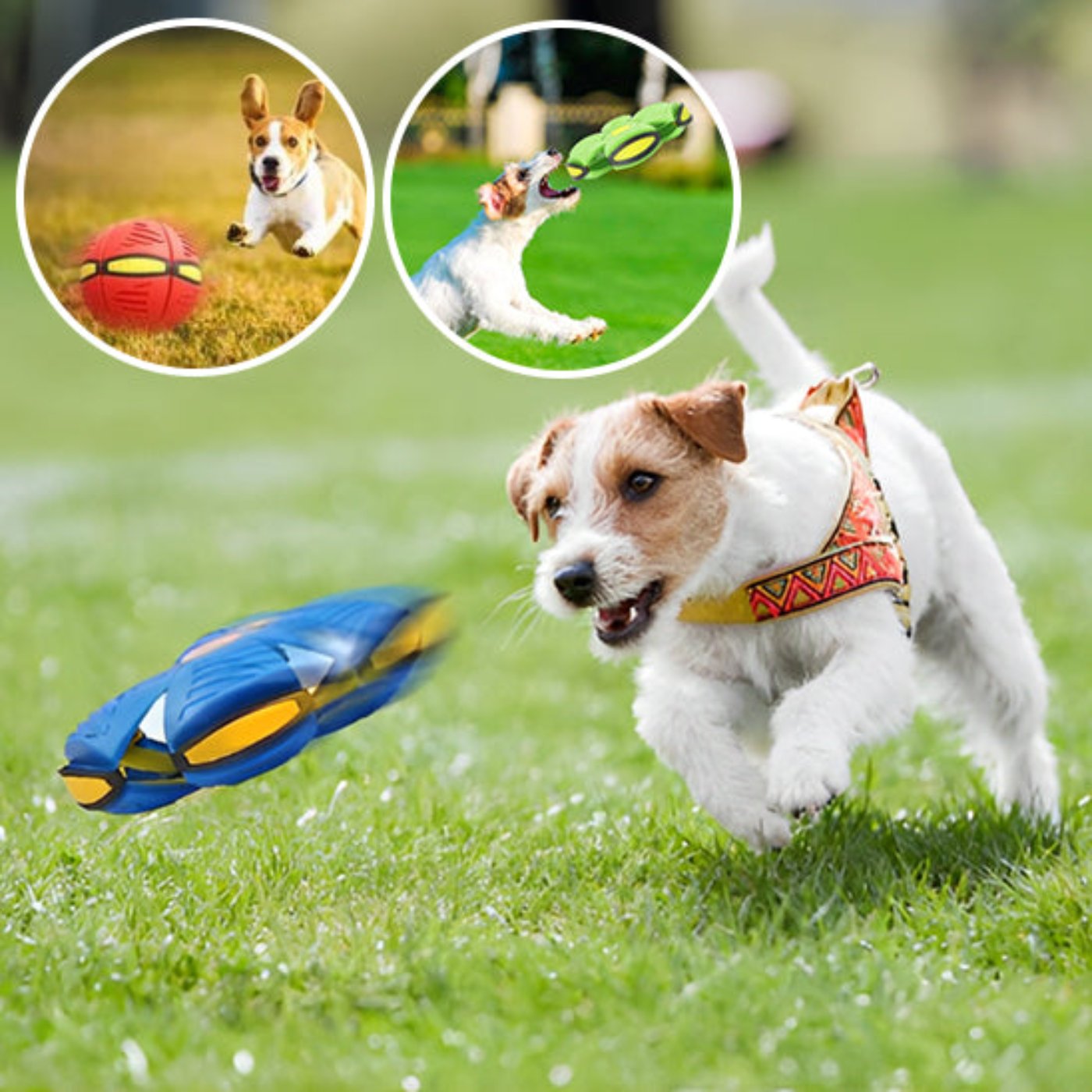 Jouet transformeur pour chien - Uranus™