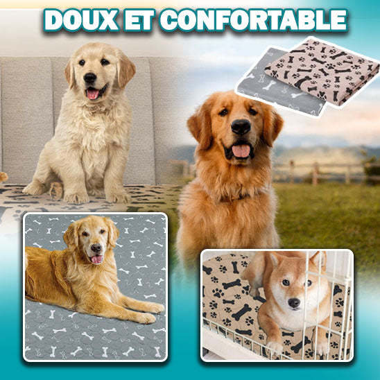 Tapis étanche pour chien - SpongeRug™️