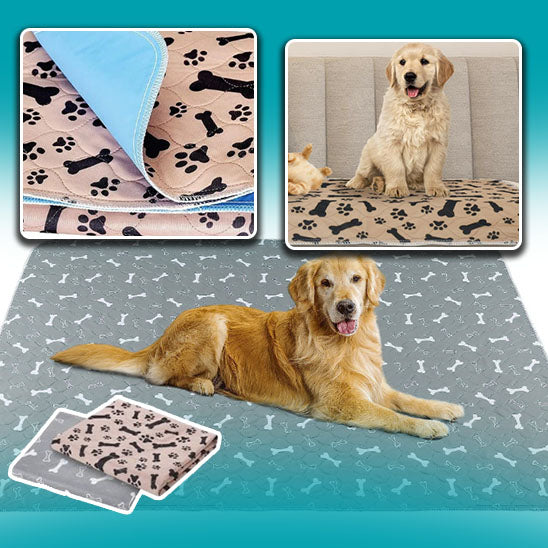 Tapis étanche pour chien - SpongeRug™️