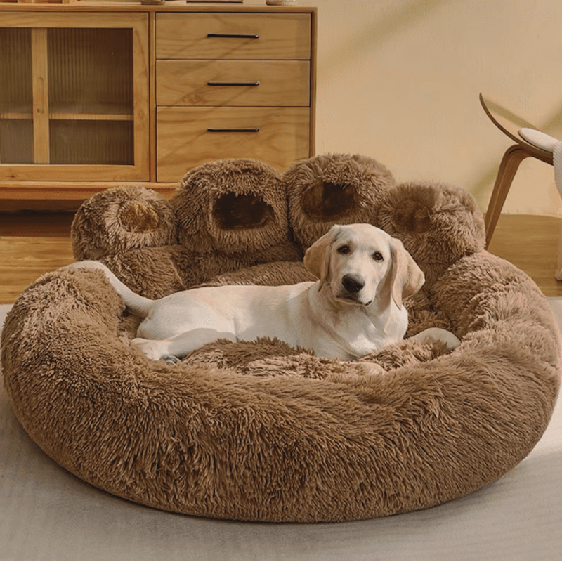 Lit Canapé Confortable pour Chiens