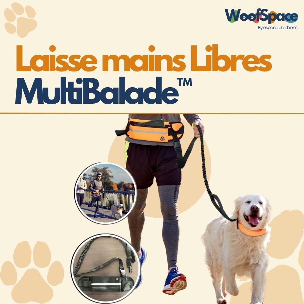 Laisse mains Libres - MultiBalade™