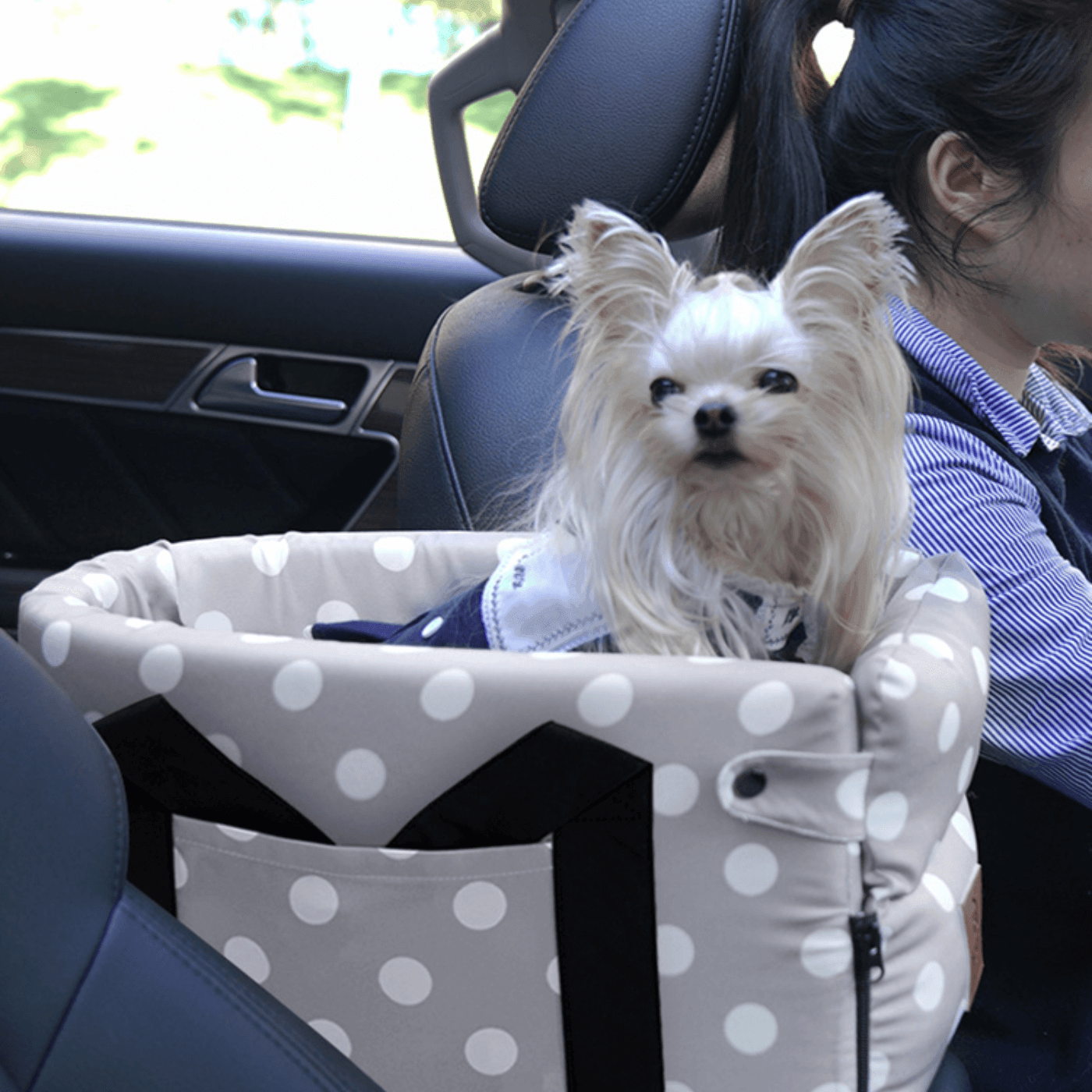panier-pour-chien-confortable