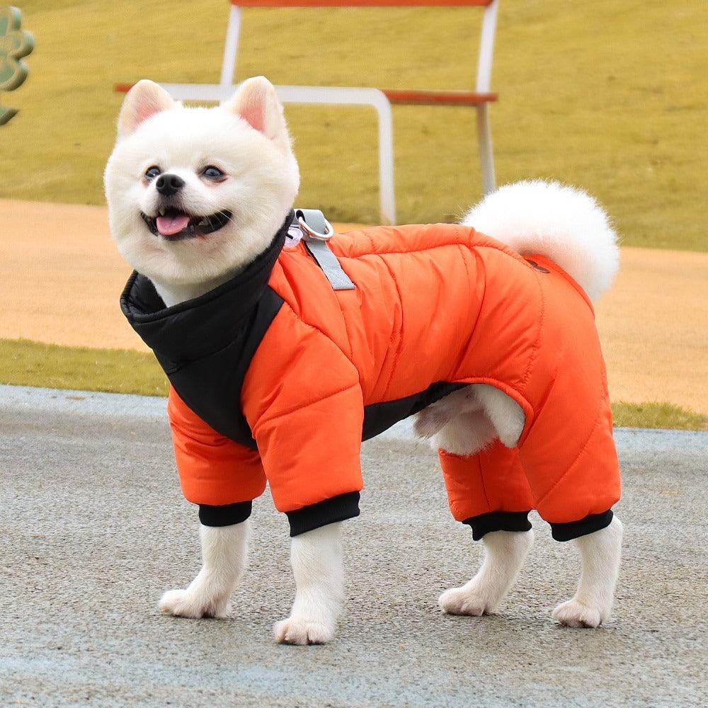Manteau-pour-petit-chien-orange