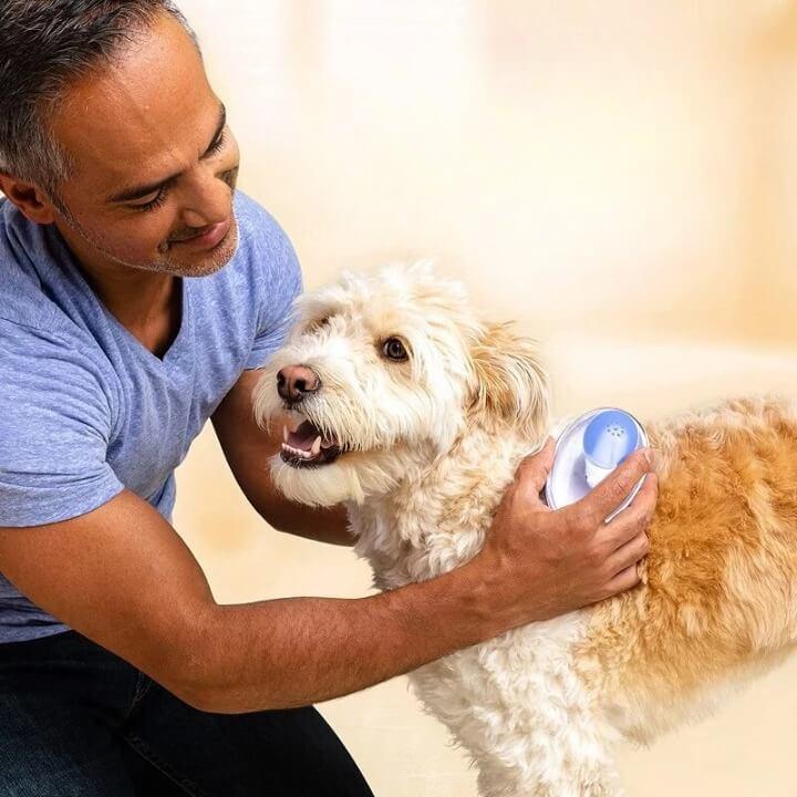brosse-pour-chien-à-poils-longs-pratique