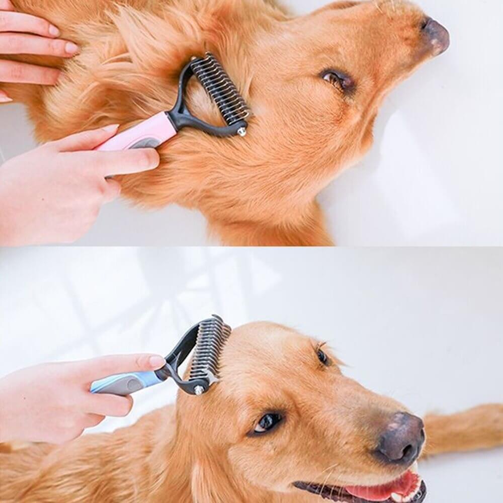 brosse-pour-chien-ergonomique