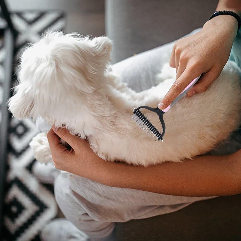 brosse-pour-chien-poil-long