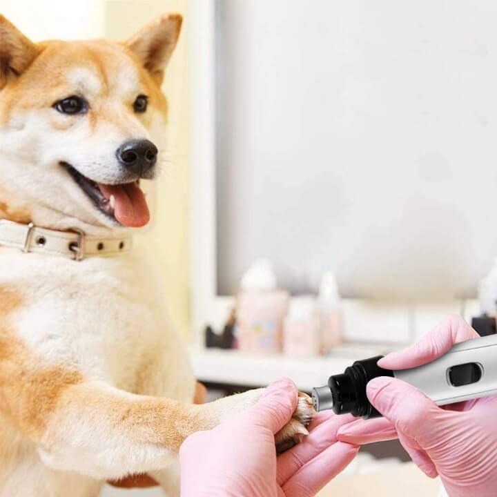 coupe-ongle-pour-chien-électrique