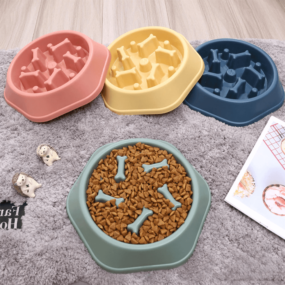 gamelle-anti-glouton-alimentation-saine