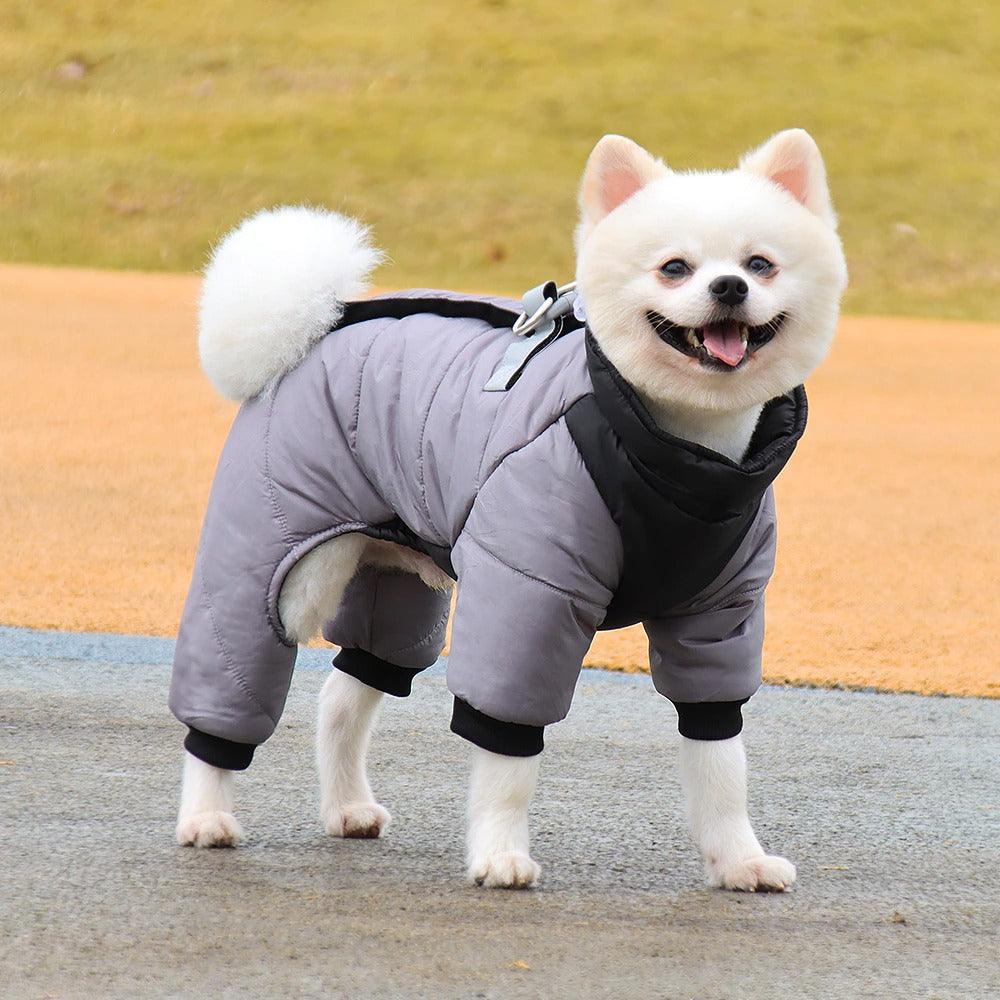 Manteau pour chien de petite taille –
