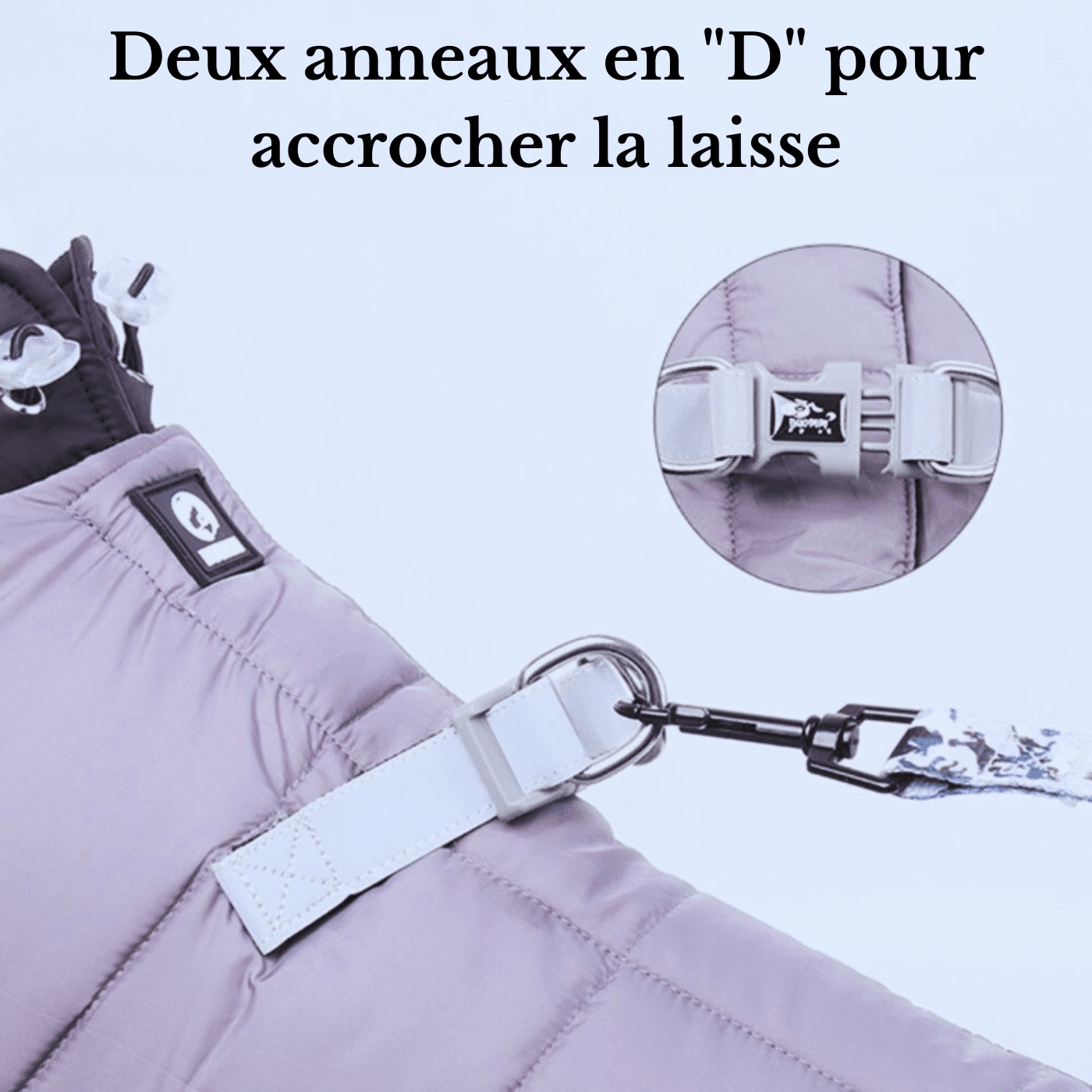 manteau-petit-chien