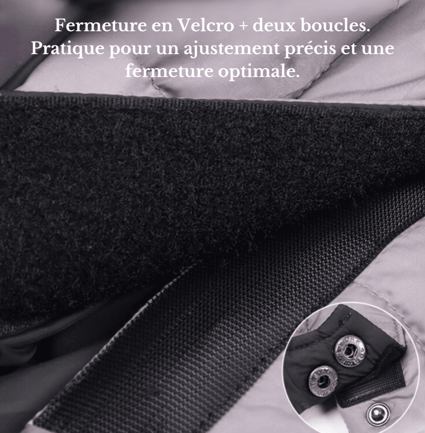 manteau-pour-petit-chien