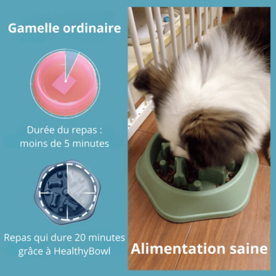 gamelle-anti-glouton