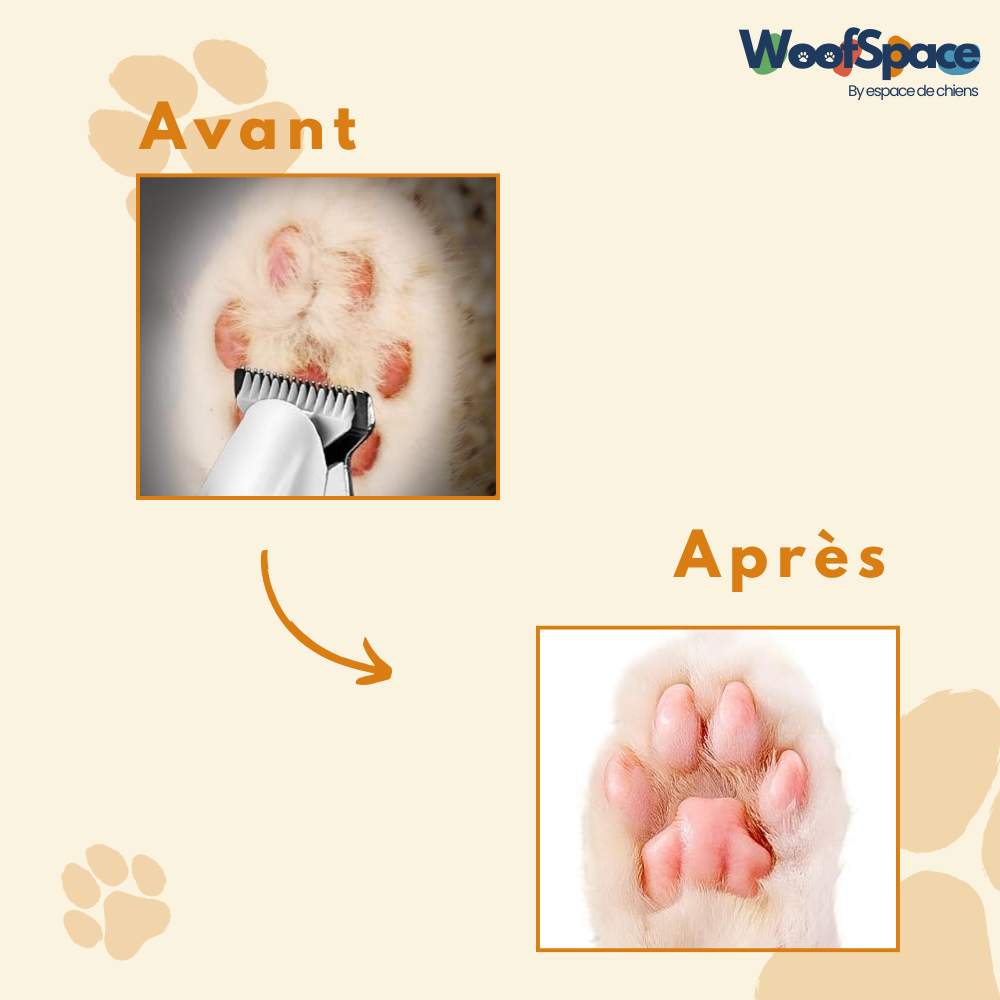 Tondeuse chien et chat - CleanPaws™