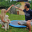 CoolPaws™ – La piscine fraîcheur pour ton chien