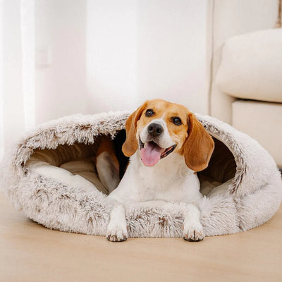 Lit Douillet Apaisant pour chien