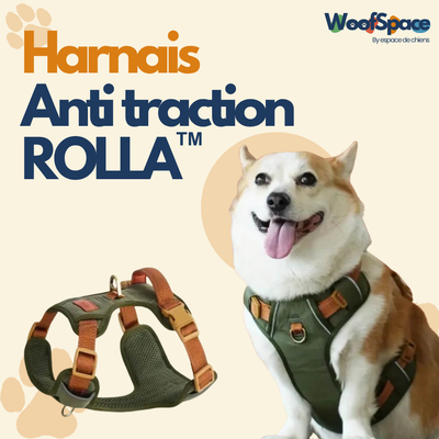 Harnais Anti-traction « Rolla » pour Chiens