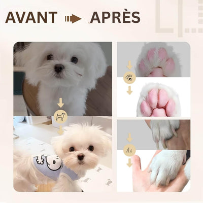 Tondeuse Électrique 4 en 1 pour Chiens