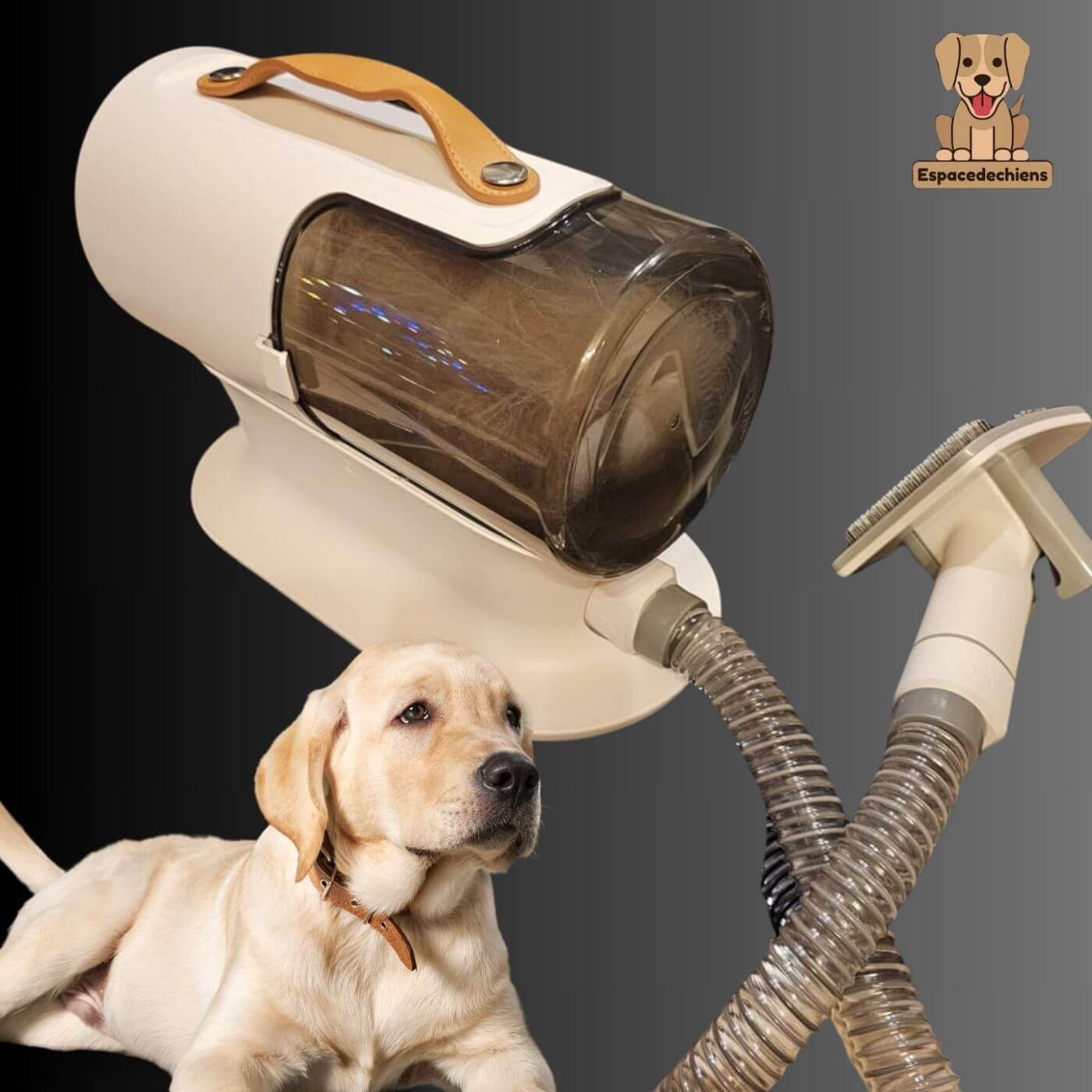 Kit de toilettage Intelligent 5 en 1 avec aspirateur - PetGroom™