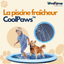 CoolPaws™ – La piscine fraîcheur pour ton chien