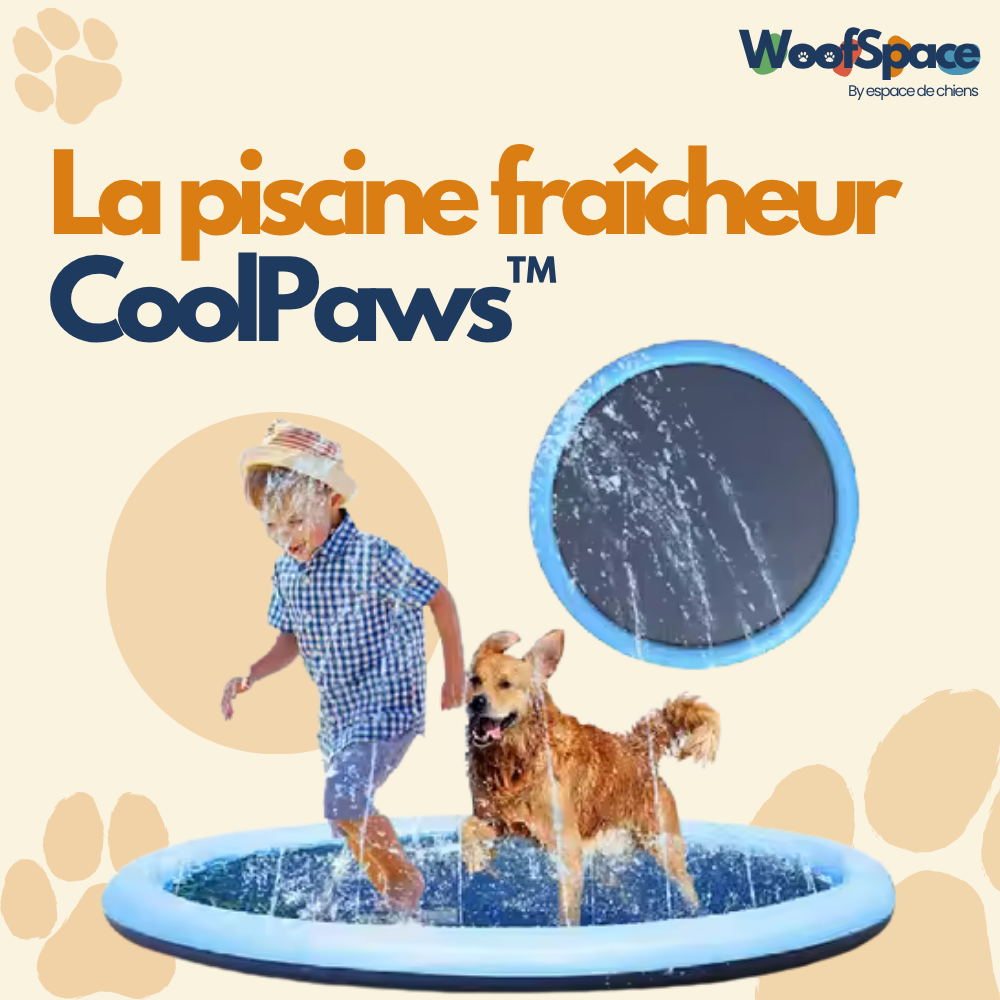 CoolPaws™ – La piscine fraîcheur pour ton chien