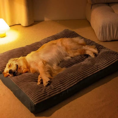 Lit Orthopédique pour Chien